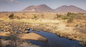 Lire la suite à propos de l’article Quelle est la meilleure période pour visiter le parc national de Ruaha ?