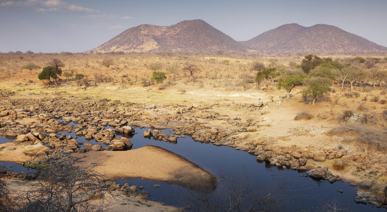 You are currently viewing When is the best time to visit the Ruaha National Park?